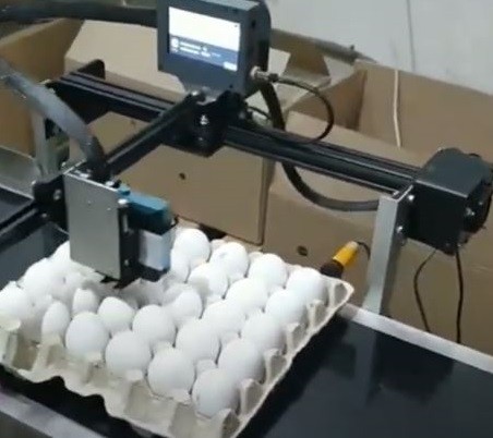 Продам маркировочное оборудование MARK EGGS BOT для маркировки на птицефабриках